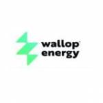 Wallop Energy Profile Picture