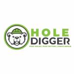 Hole Digger Profile Picture