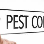 German Cockroach Pest Control Profile Picture