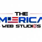 theamericanwebstudios website studios Profile Picture