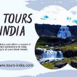 Tours India Profile Picture