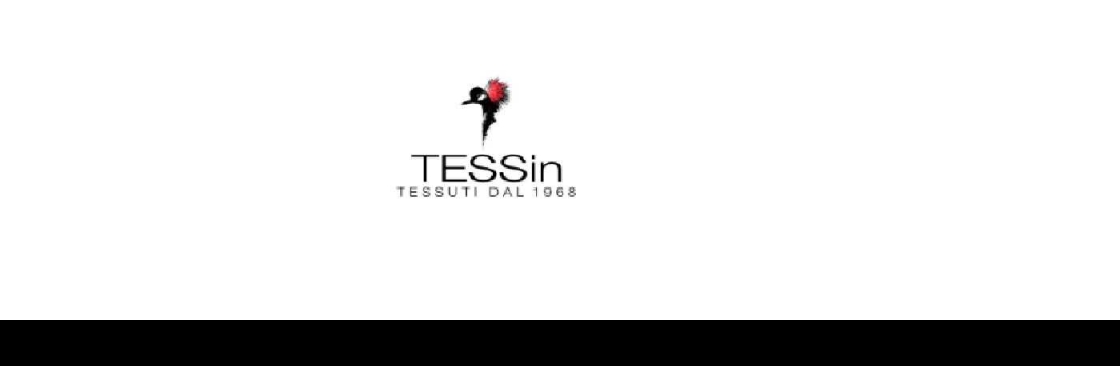 TESSin Cover Image