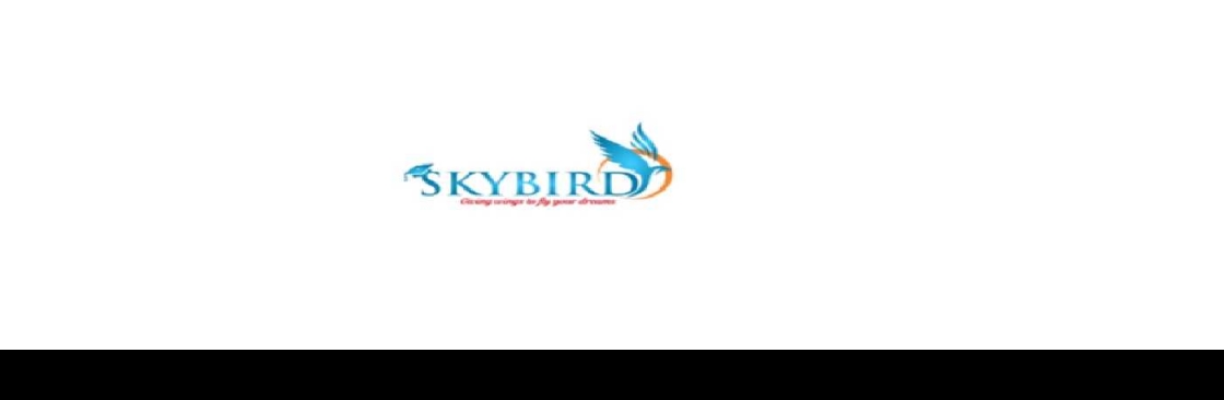 Skybirdaviation Cover Image