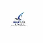 Blue Sail Realty Dominican Profile Picture