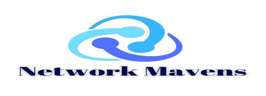 Network Mavens Cover Image