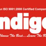 Indigo Light Profile Picture